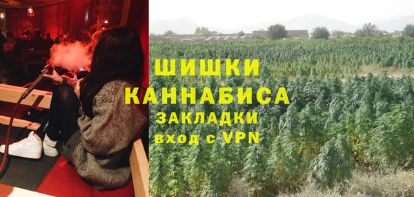 ПСИЛОЦИБИНОВЫЕ ГРИБЫ Нефтегорск