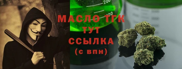 твердый Новозыбков